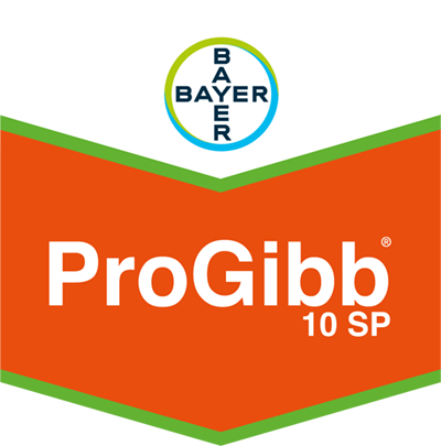 ProGibb® 10 SP