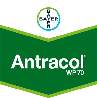 Antracol® WP 70