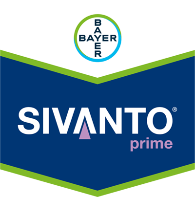 Sivanto® Prime