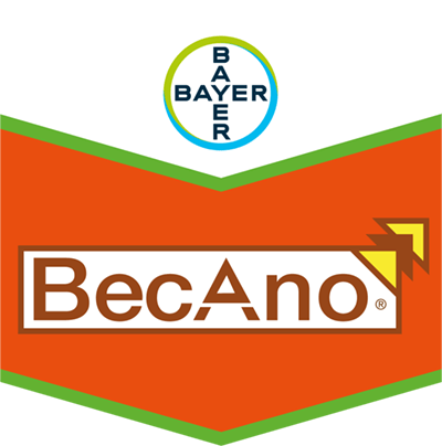 Becano® SC 500