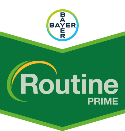 Routine® PRIME SC 200