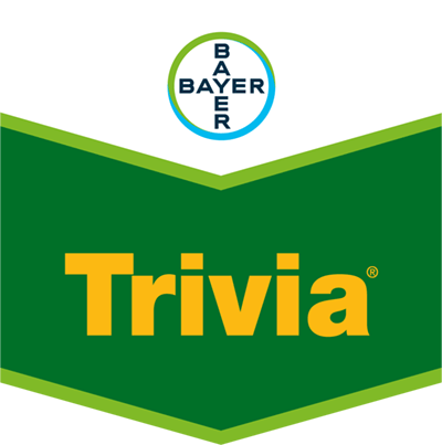 Trivia®