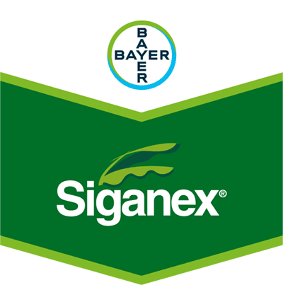 Siganex®