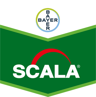 Scala®