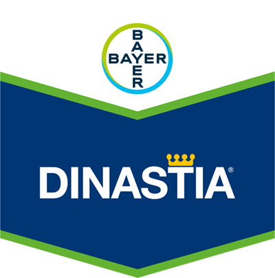 Dinastia®